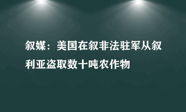 叙媒：美国在叙非法驻军从叙利亚盗取数十吨农作物