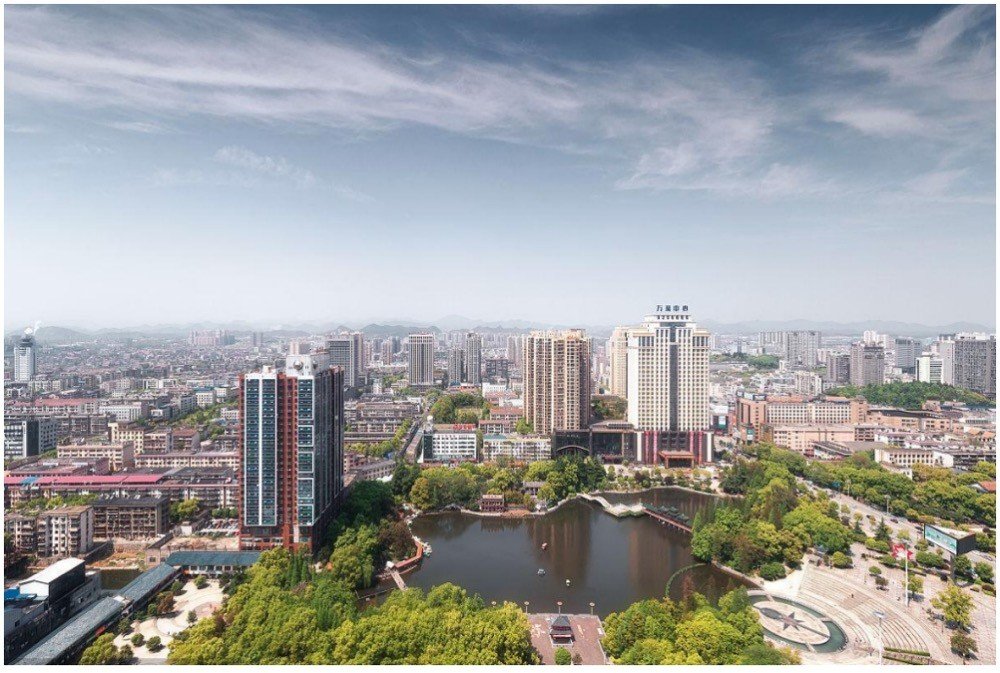 娄底市的市花和市树分别是