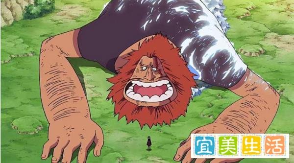 海贼王:10位名字中带有字母D的角色,每一位都是意志继承者