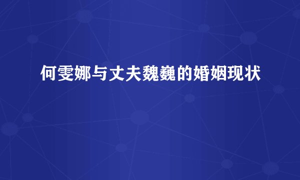 何雯娜与丈夫魏巍的婚姻现状