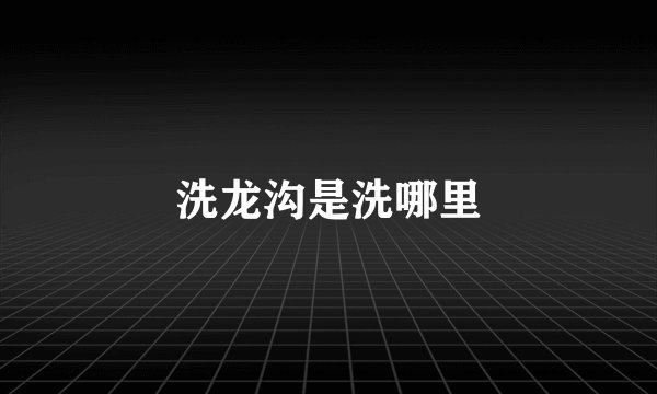 洗龙沟是洗哪里