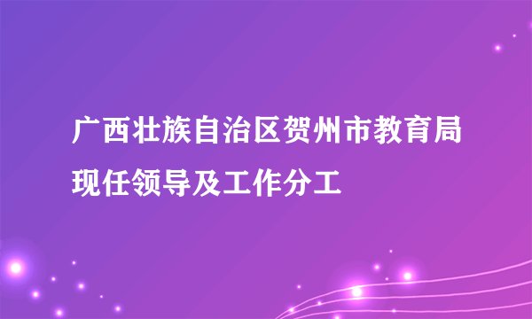 广西壮族自治区贺州市教育局现任领导及工作分工