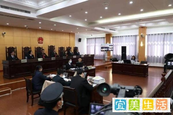 江歌母亲诉刘鑫案开庭,原告律师:刘鑫有转移风险的故意