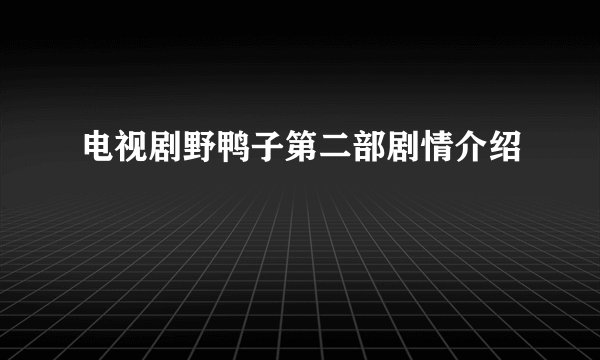 电视剧野鸭子第二部剧情介绍