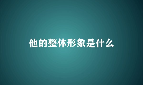 他的整体形象是什么