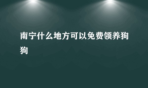 南宁什么地方可以免费领养狗狗