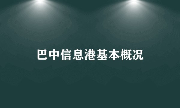 巴中信息港基本概况