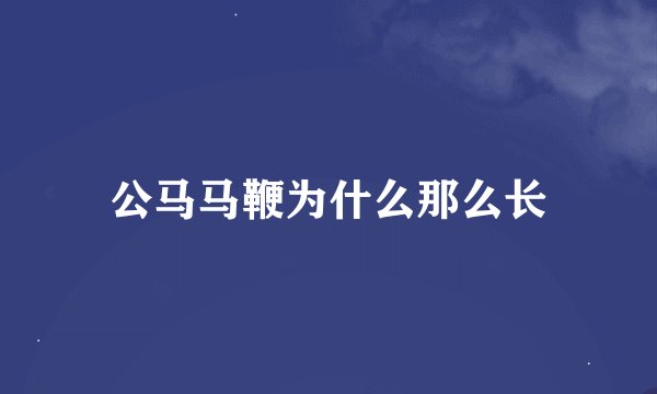 公马马鞭为什么那么长