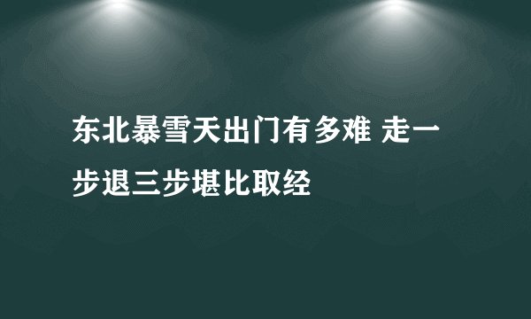 东北暴雪天出门有多难 走一步退三步堪比取经