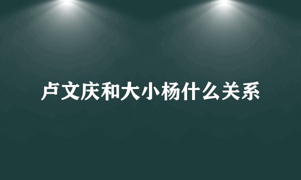 卢文庆和大小杨什么关系