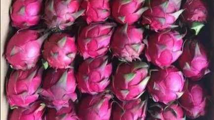 50箱进口涉疫火龙果流入太原并已销售完毕,这是否会引发疫情?