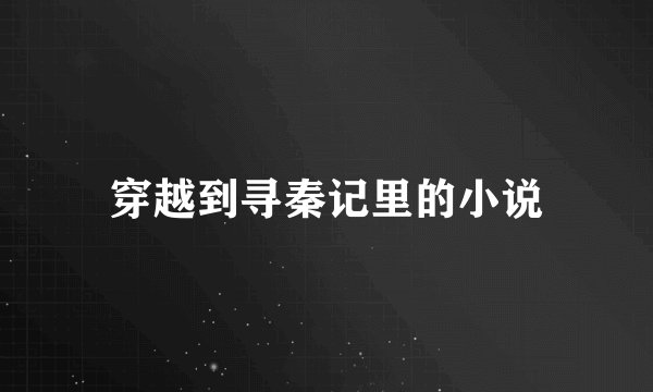 穿越到寻秦记里的小说