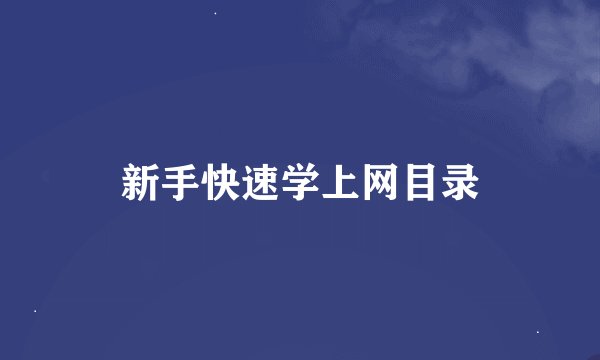 新手快速学上网目录