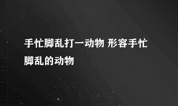 手忙脚乱打一动物 形容手忙脚乱的动物