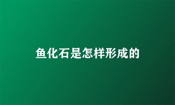 鱼化石是怎样形成的