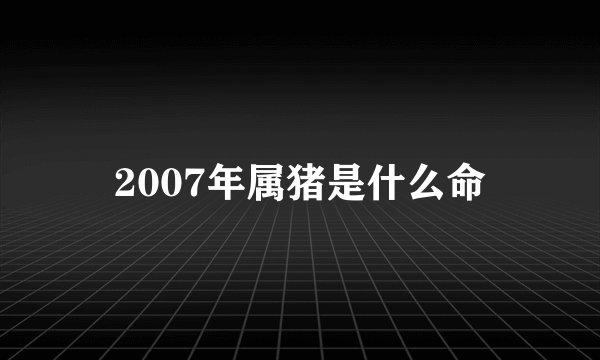 2007年属猪是什么命