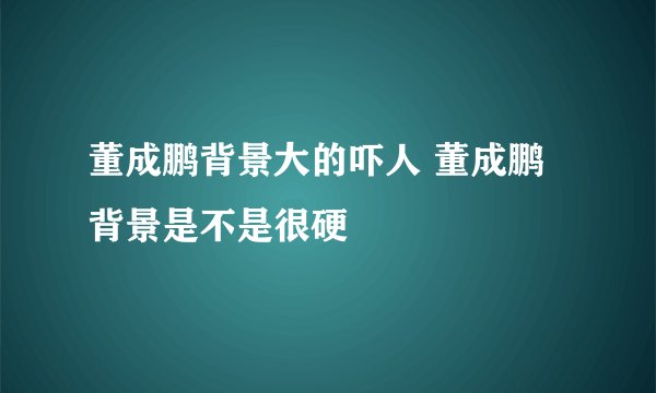 董成鹏背景大的吓人 董成鹏背景是不是很硬