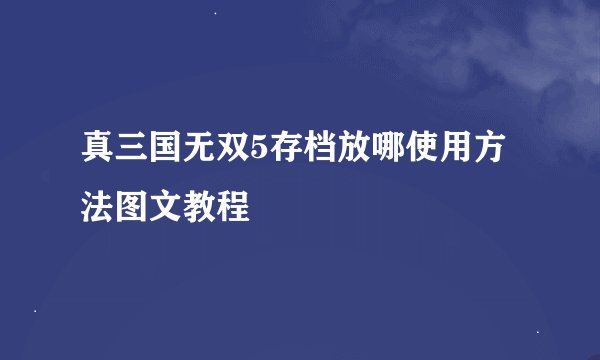 真三国无双5存档放哪使用方法图文教程