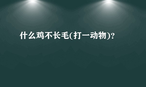 什么鸡不长毛(打一动物)？