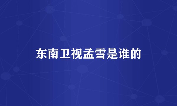 东南卫视孟雪是谁的