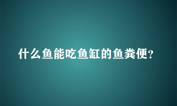 什么鱼能吃鱼缸的鱼粪便?