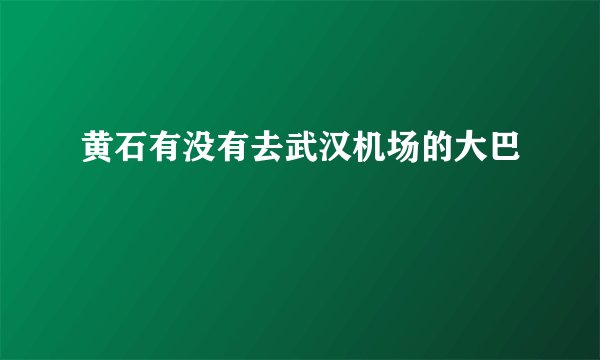 黄石有没有去武汉机场的大巴