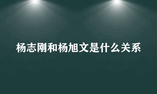 杨志刚和杨旭文是什么关系