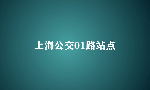 上海公交01路站点