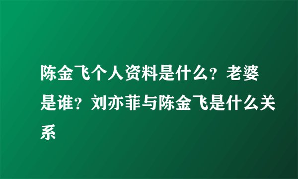 陈金飞个人资料是什么？老婆是谁？刘亦菲与陈金飞是什么关系