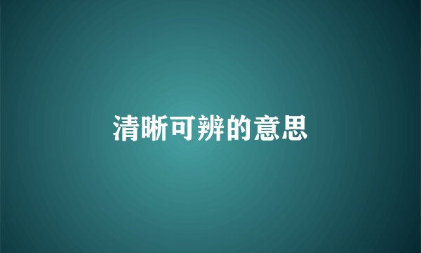 清晰可辨的意思