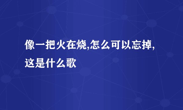 像一把火在烧,怎么可以忘掉,这是什么歌