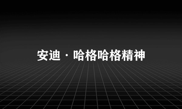 安迪·哈格哈格精神