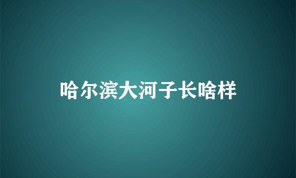 哈尔滨大河子长啥样