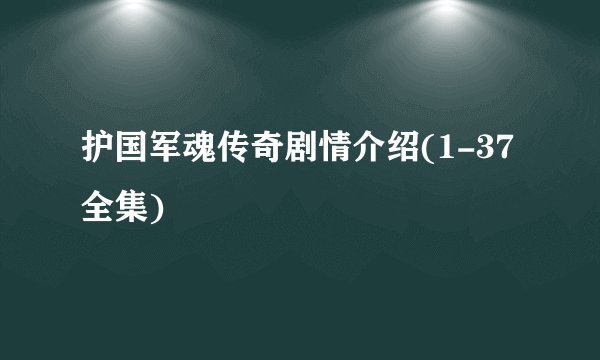 护国军魂传奇剧情介绍(1-37全集)