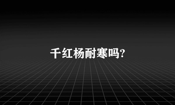 千红杨耐寒吗?