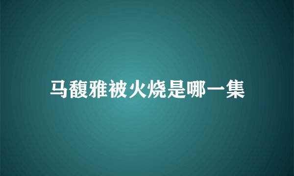 马馥雅被火烧是哪一集