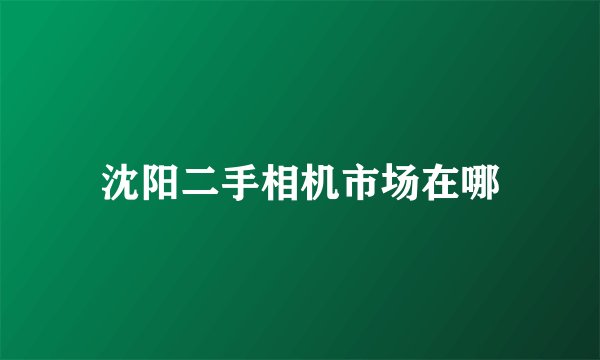 沈阳二手相机市场在哪