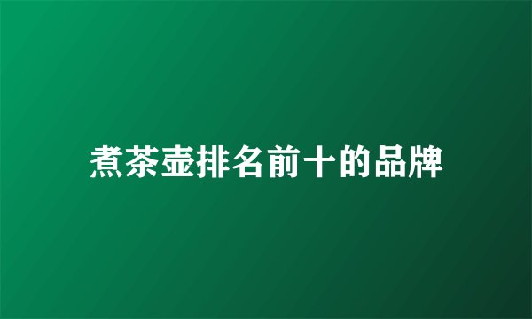煮茶壶排名前十的品牌