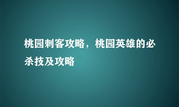 桃园刺客攻略，桃园英雄的必杀技及攻略
