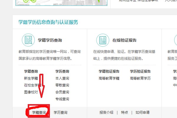 怎么从学信网上查自己的准考证号码