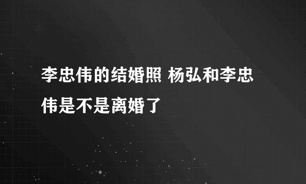 李忠伟的结婚照 杨弘和李忠伟是不是离婚了