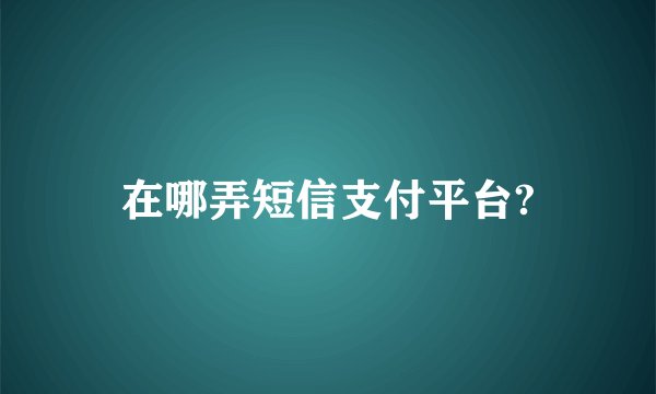 在哪弄短信支付平台?