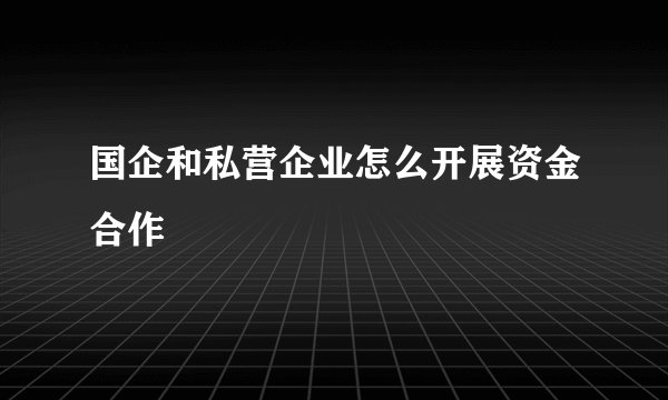 国企和私营企业怎么开展资金合作