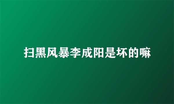 扫黑风暴李成阳是坏的嘛