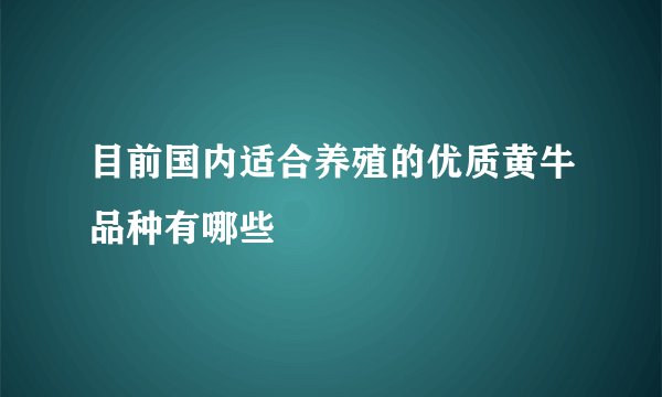 目前国内适合养殖的优质黄牛品种有哪些