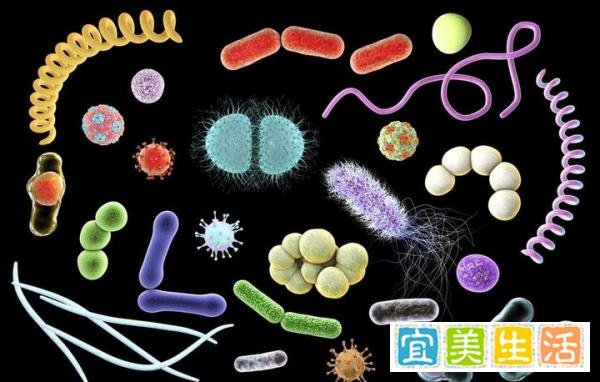 中国股市：未来至少翻10倍的“合成生物”概念股，就这8只！（附股）