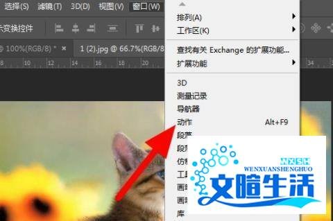 ps动作怎么使用详细教程