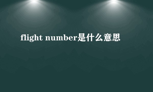 flight number是什么意思