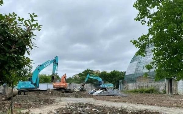 合肥一鸟类动物园深夜遭拆,多只保护动物伤亡,园方称被要求整改