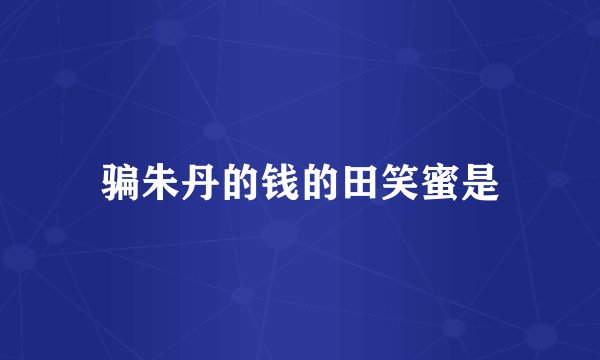 骗朱丹的钱的田笑蜜是